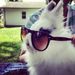 Profile Picture of Cassandra Yeager (@cassyeager) on Pinterest