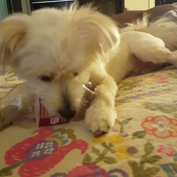 Profile Picture of Dominique Stevenson (@phrozen28) on Poshmark