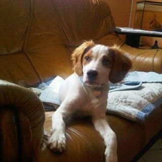 Profile Picture of Laurence Goncalves (@laurence.goncalves.75) on Facebook