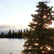 Profile Picture of Daniel Litchfield (@litchfieldk9) on Youtube