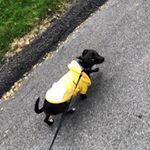 Andrea - Instagram Profile Picture of Andrea (@bleak.space) on Instagram