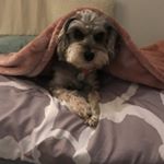 Christy Zenner, PhD - Instagram Profile Picture of Christy Zenner, PhD (@christianazenner) on Instagram