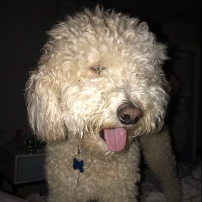 Profile Picture of Shelley Clements (@Shelley33045436) on Twitter