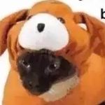 Maxwell  Profile Picture of Maxwell