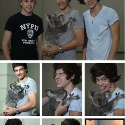 Profile Picture of Verna Nguyen (@@verna_loves_1D) on Twitter