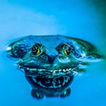 Profile Picture of Keith Benoist (@keithbenoist) on Instagram