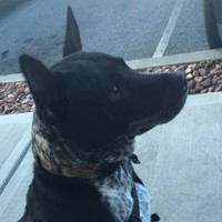 Profile Picture of Natalia Znosko (@natalia-znosko) on Quora