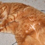 Profile Picture of Stromquist (@stromquisteric) on Instagram