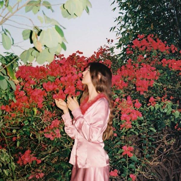 Profile Picture of Bach David (@bach.david5) on Tiktok