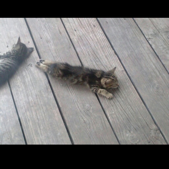 Profile Picture of Angelica Gannon (@agannon03) on Poshmark