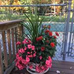 Profile Picture of Cathy Libby Gorham (@cathy.gorham.71) on Instagram