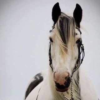 Profile Picture of Erick Anton (@erick.anton.96) on Facebook