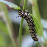 Profile Picture of jimbabb (@jimbabb) on Instagram