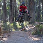 Profile Picture of Colin McDonough (@mcdonough_colin) on Instagram