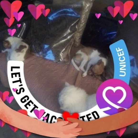 Profile Picture of Eva Bernacet (@evabernacet69) on Poshmark