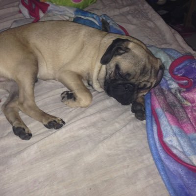 Profile Picture of Fernando Mejia Robledo (@fernand31062455) on Twitter