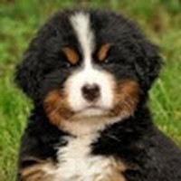 Erin Stuckey - Quora Profile Picture of Erin Stuckey (@erin-stuckey-6) on Quora