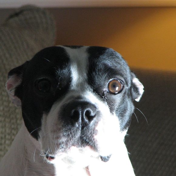 Profile Picture of Thomas Abbott (@thomasabbott375) on Poshmark