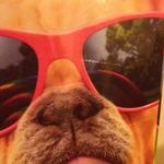 Profile Picture of naomi keeler (@pretty_smartg) on Instagram