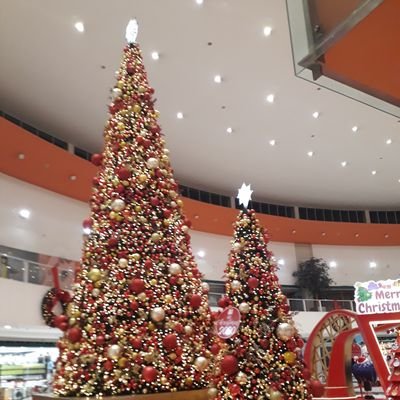 Profile Picture of Tori Nunn (@ToriNunn3) on Twitter