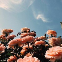 Profile Picture of Mildred Wright (@mildred-wright-12) on Quora