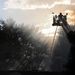 Profile Picture of Clifford Wilkinson (@clw3865) on Pinterest