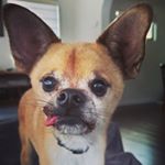 Profile Picture of Edward Hunter-Irwin (@theed_stagram) on Instagram