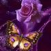 Profile Picture of Carole Paschen (@cpaschen) on Pinterest