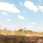 Profile Picture of Moudy Jumaa (@Moudy-Jumaa) on Facebook