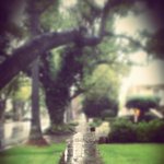 Profile Picture of Matthew Hebenstreit (@matthewhebenstreit) on Instagram