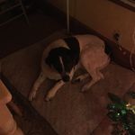 Profile Picture of Robert Maturo (@tj_daily_news) on Instagram