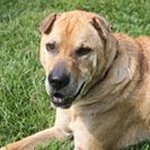 Profile Picture of Thomas Rowlands (@rowlands.thomas) on Instagram