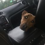 Profile Picture of Duncan Keller (@duncan__keller) on Instagram