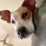 Profile Picture of Jim Kueneman (@Jim-Kueneman) on Facebook