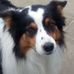 Profile Picture of ElsJurgen JanssensDesmet (@elsjurgen.janssensdesmet) on Facebook