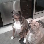 Profile Picture of Brenda Adams Gerdesich (@gerdesich) on Instagram