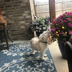 Profile Picture of Raymond Deaton (@raymonddeaton) on Instagram