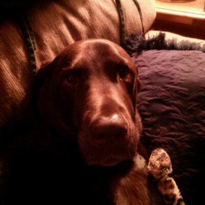 Profile Picture of Toby LaCoy (@Toby_LaCoy) on Twitter