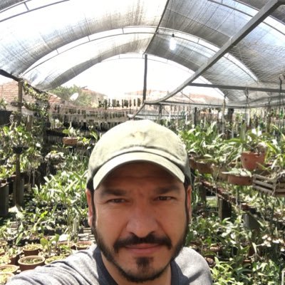 Profile Picture of Ed Jean Grego (@grego_ed) on Twitter