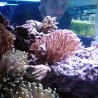 Profile Picture of Mike Kidd (@mike-kidd-7) on Quora