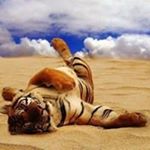 Profile Picture of Dawn Ashby (@ashby.dawn) on Instagram