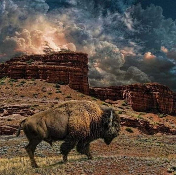 Profile Picture of Robbie Hudson (@robbiehudson192) on Poshmark