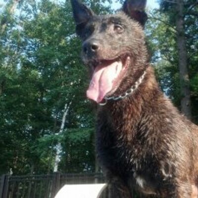 Profile Picture of Daniel T. Purtell (@danprtl) on Twitter