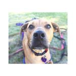 Profile Picture of Basil Crossing (@basil.crossing) on Instagram