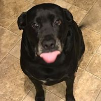 Profile Picture of Ted Davis (@ted-davis-35) on Quora