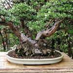 Profile Picture of jose idrovo (@joseidrovon) on Instagram