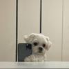 Profile Picture of Fernando Rocha (@@fxrrr1) on Tiktok