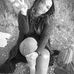 Profile Picture of Sandra Heredia (@sandra.heredia.71619) on Facebook