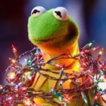 Profile Picture of Acıların Kermiti (@mrv.berill) on Instagram