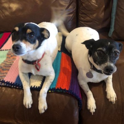 Profile Picture of Kenneth Pickett (@kenneth40056421) on Twitter